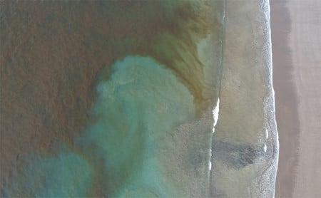Aerial view of a red tide swirling in green water