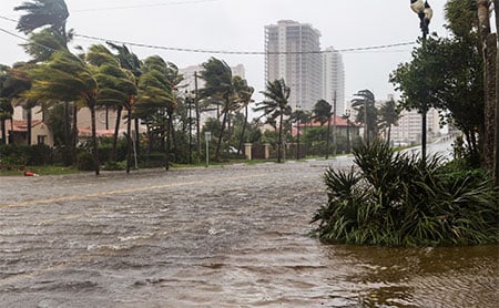 City street lined with palm trees and flooded by hurricane