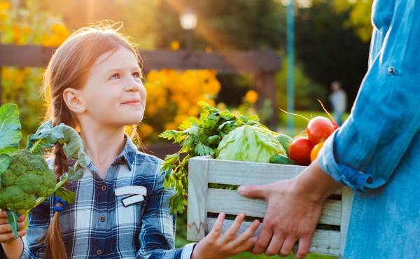 Young girl at an urban farm, harvesting with her mother