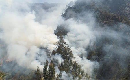 Aerial view of smoke in a forest from a wildfire