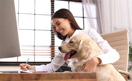 Woman working at a desk with her left arm around a golden retriever